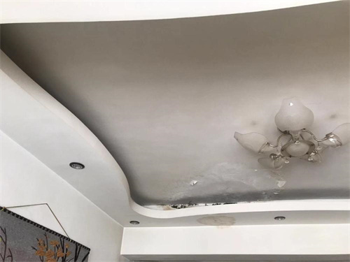 漏水检测仪多少钱(图1)